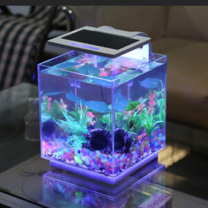 kerajinan aquarium akrilik