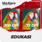 Apa Itu DPI? Fungsi dan Pengaruhnya Pada Hasil Cetak
