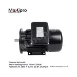 Sparepart Dinamo Hydraulic Mesin Potong Kertas Telson 720LW Hydraulic YL 100L 4 2.2Kw 13.8A 1420rpm